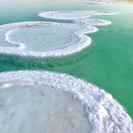 Villa Nadia Hosting Dead Sea Neve Zohar Exterior foto