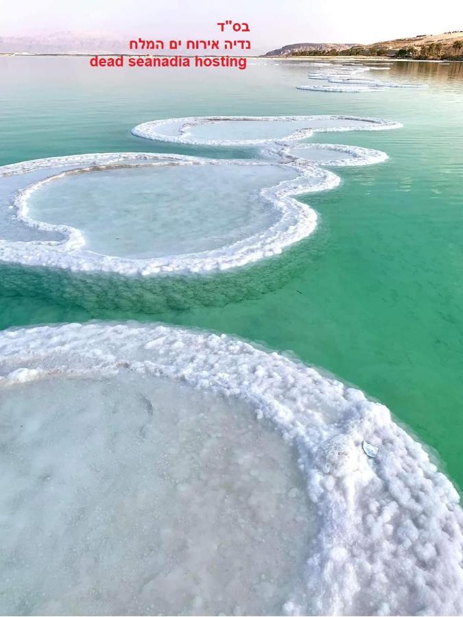 Villa Nadia Hosting Dead Sea Neve Zohar Exterior foto
