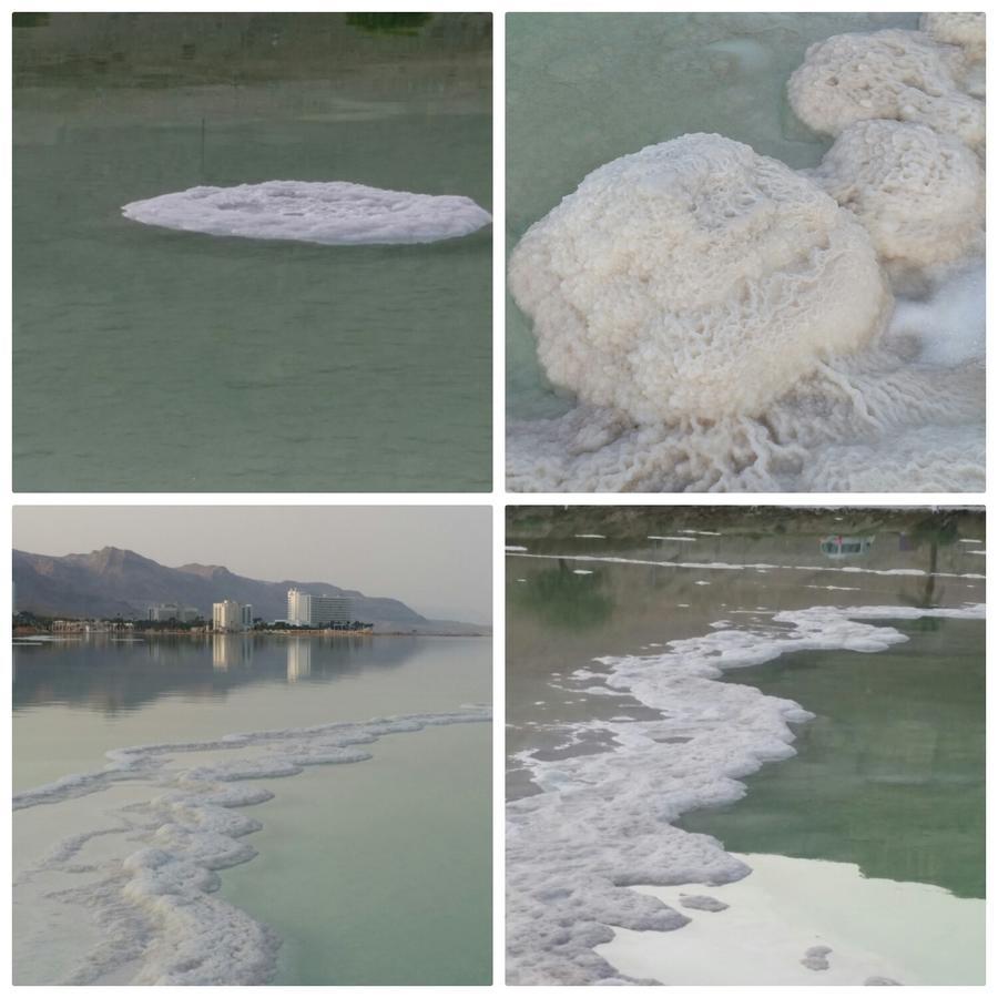 Villa Nadia Hosting Dead Sea Neve Zohar Exterior foto