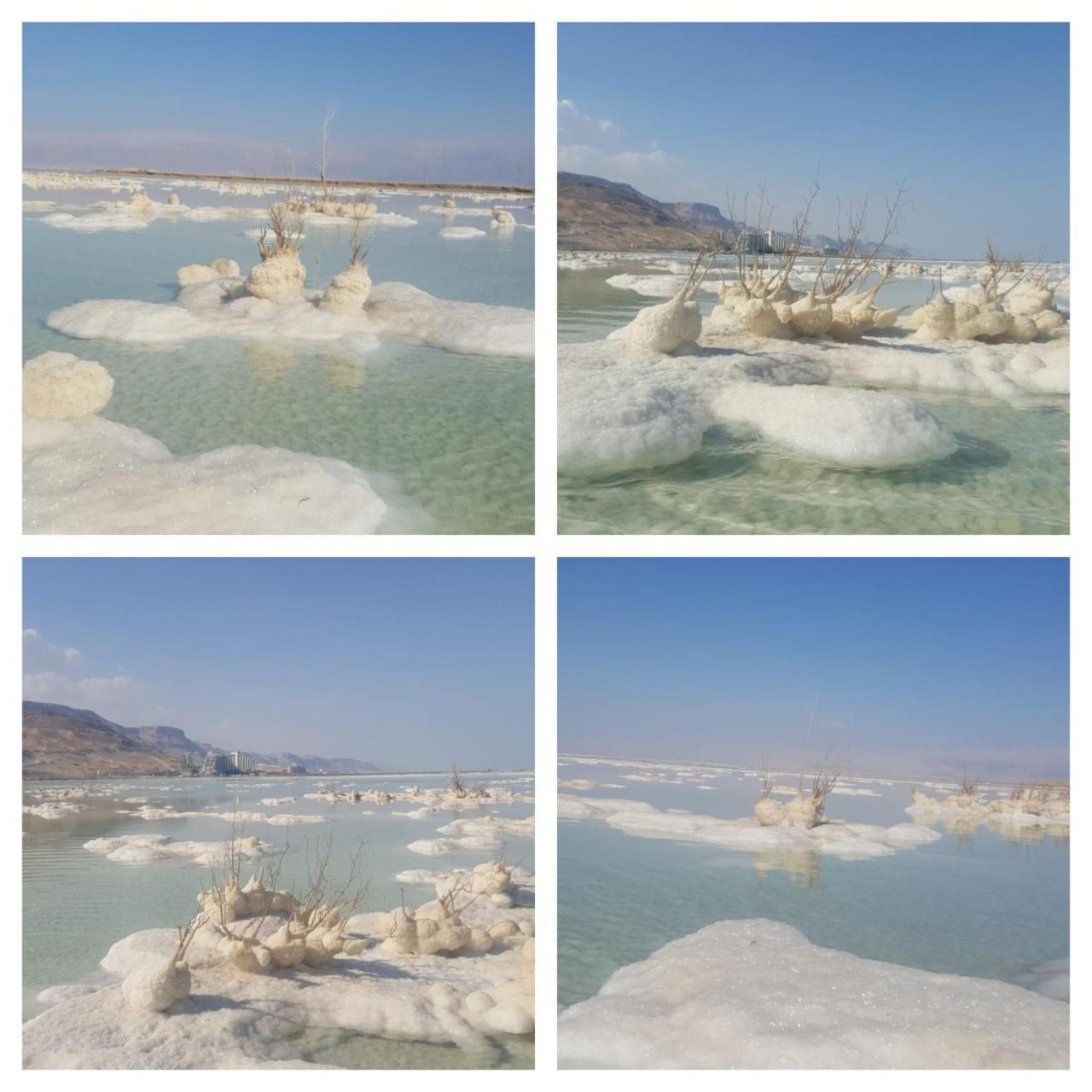 Villa Nadia Hosting Dead Sea Neve Zohar Exterior foto