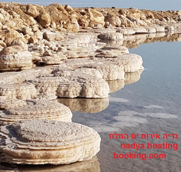 Villa Nadia Hosting Dead Sea Neve Zohar Exterior foto