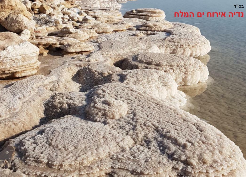 Villa Nadia Hosting Dead Sea Neve Zohar Exterior foto