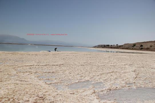Villa Nadia Hosting Dead Sea Neve Zohar Exterior foto